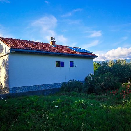 Вилла Ecohouse Oliveglia Сило Экстерьер фото