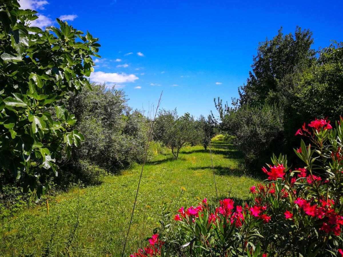 Вилла Ecohouse Oliveglia Сило Экстерьер фото