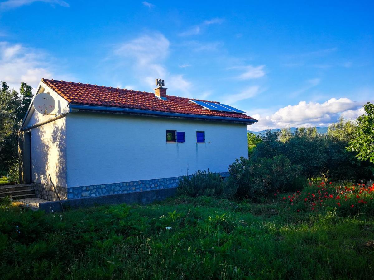 Вилла Ecohouse Oliveglia Сило Экстерьер фото