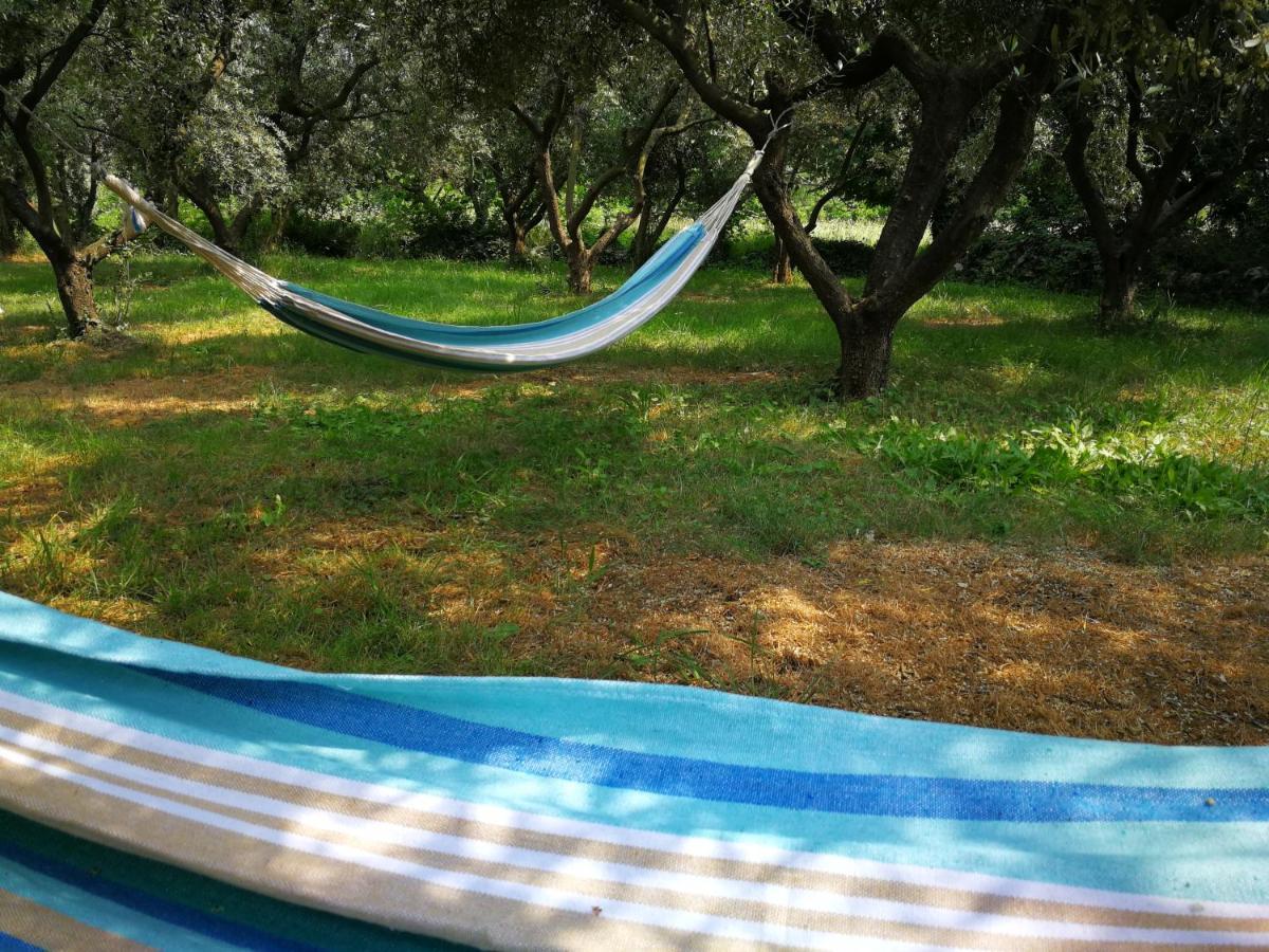 Вилла Ecohouse Oliveglia Сило Экстерьер фото